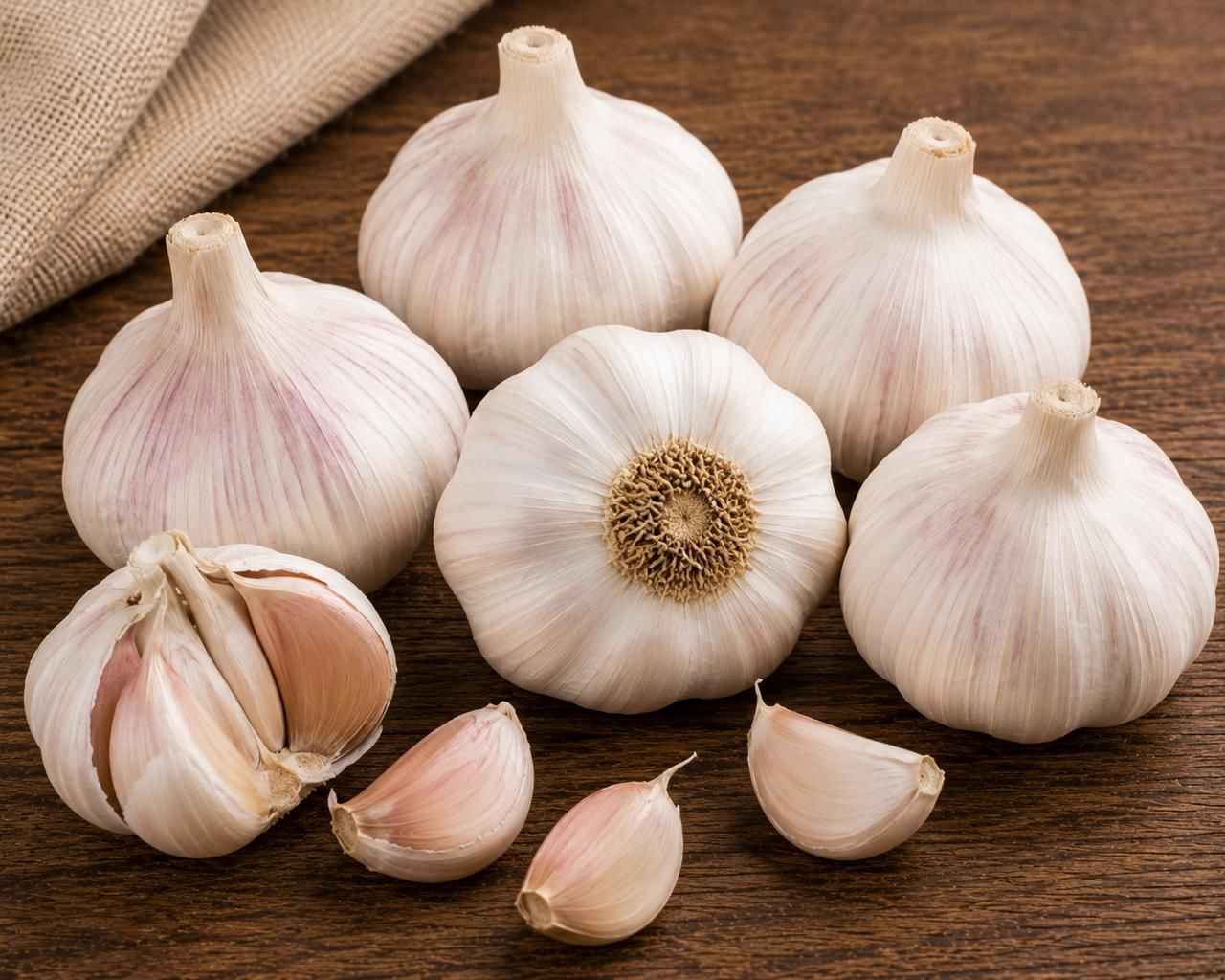 Garlic